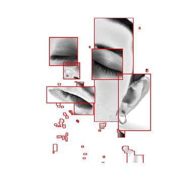 Gabriel Handschuh Profile Picture