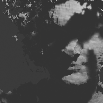Tobias Johannes Herbitschek Profile Picture