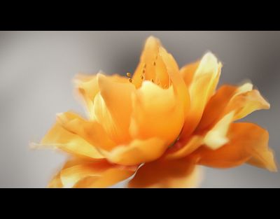 Still of Project "Luscious"